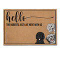 Father's Day Gifts, Hello Human - Personalized Doormat