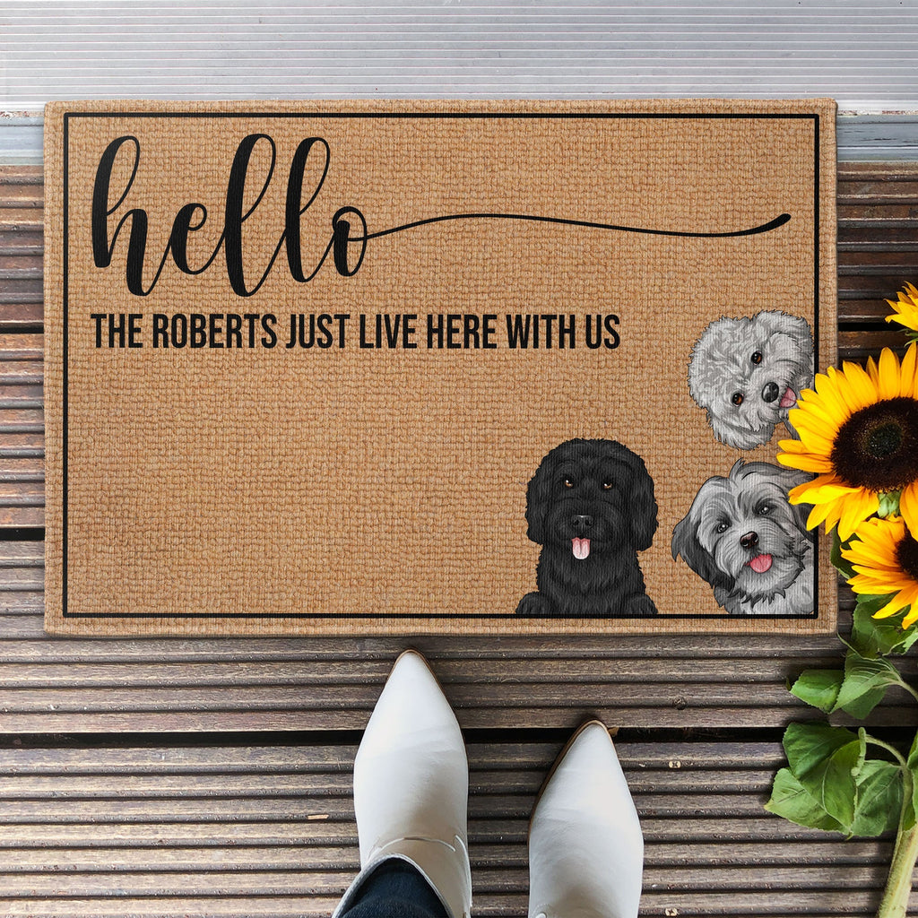 Father's Day Gifts, Hello Human - Personalized Doormat