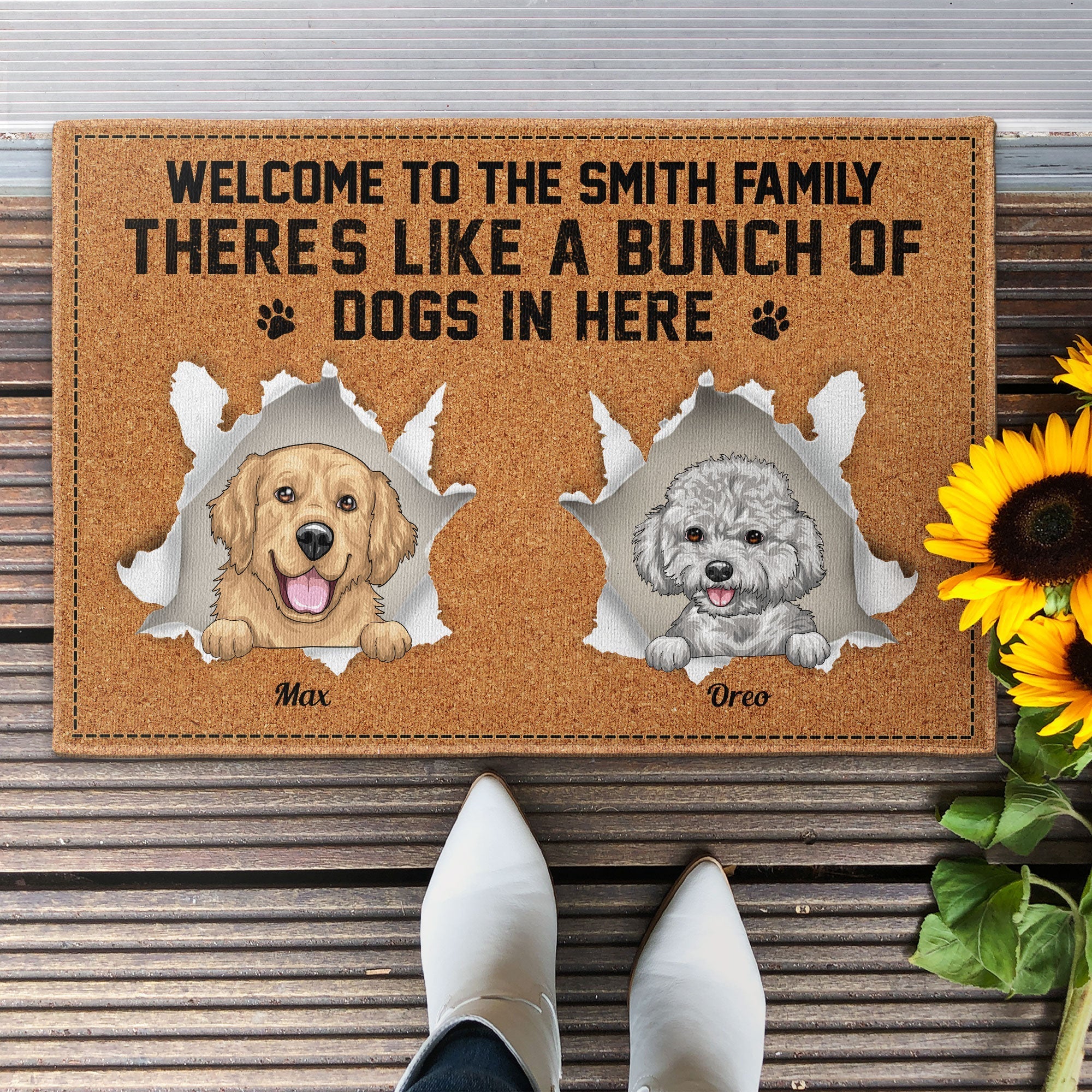 There's Like A Bunch Of Cats & Dogs In Here - Personalized Doormat